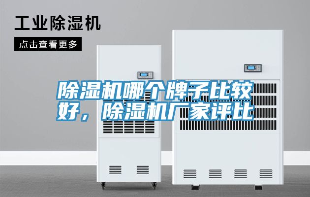 除濕機哪個牌子比較好，除濕機廠家評比