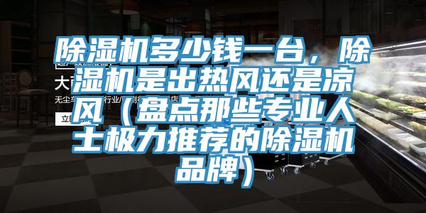 除濕機(jī)多少錢(qián)一臺(tái),除濕機(jī)是出熱風(fēng)還是涼風(fēng)(盤(pán)點(diǎn)那些專(zhuān)業(yè)人士極力推薦的除濕機(jī)品牌)