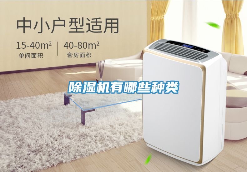 除濕機(jī)有哪些種類(lèi)