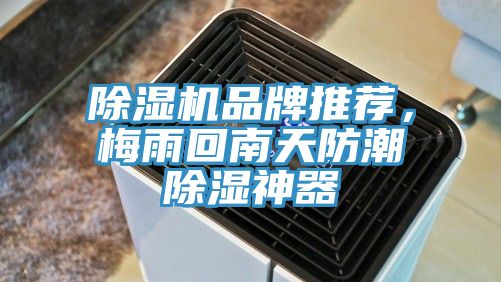 除濕機品牌推薦，梅雨回南天防潮除濕神器