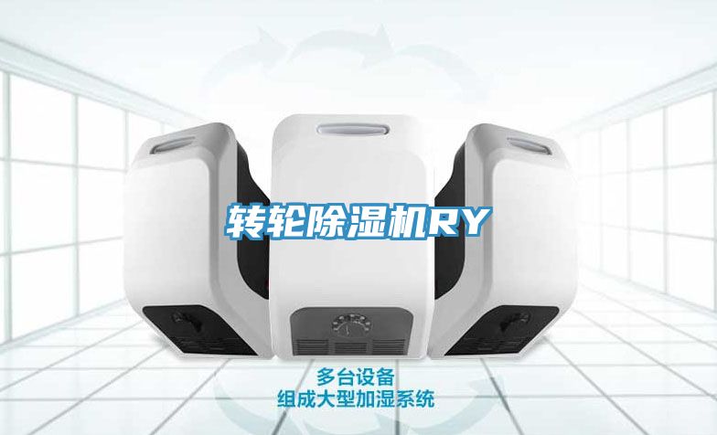 轉(zhuǎn)輪除濕機(jī)RY