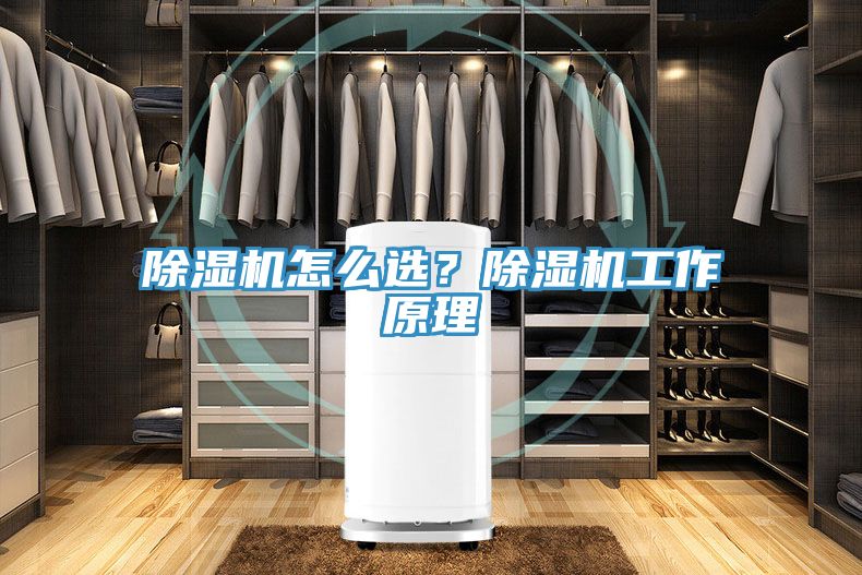 除濕機怎么選？除濕機工作原理