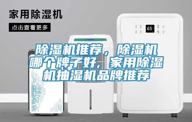 除濕機推薦，除濕機哪個牌子好, 家用除濕機抽濕機品牌推薦
