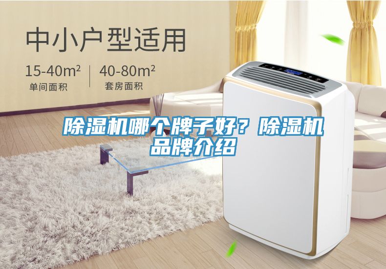 除濕機哪個牌子好？除濕機品牌介紹