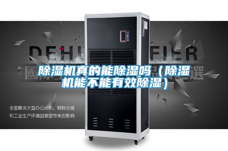 除濕機真的能除濕嗎(除濕機能不能有效除濕)