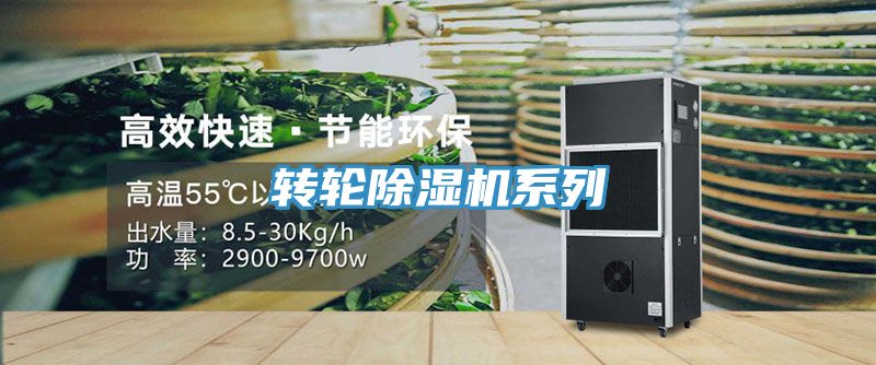 轉輪除濕機系列