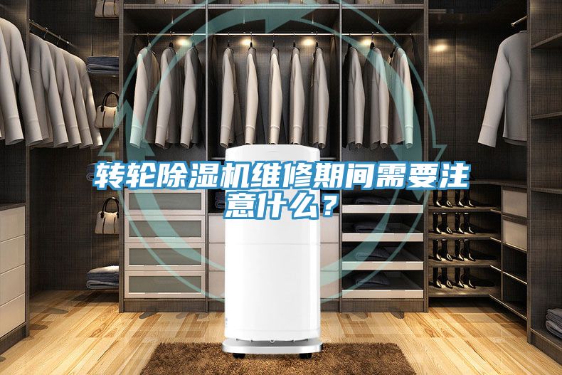 轉(zhuǎn)輪除濕機維修期間需要注意什么?