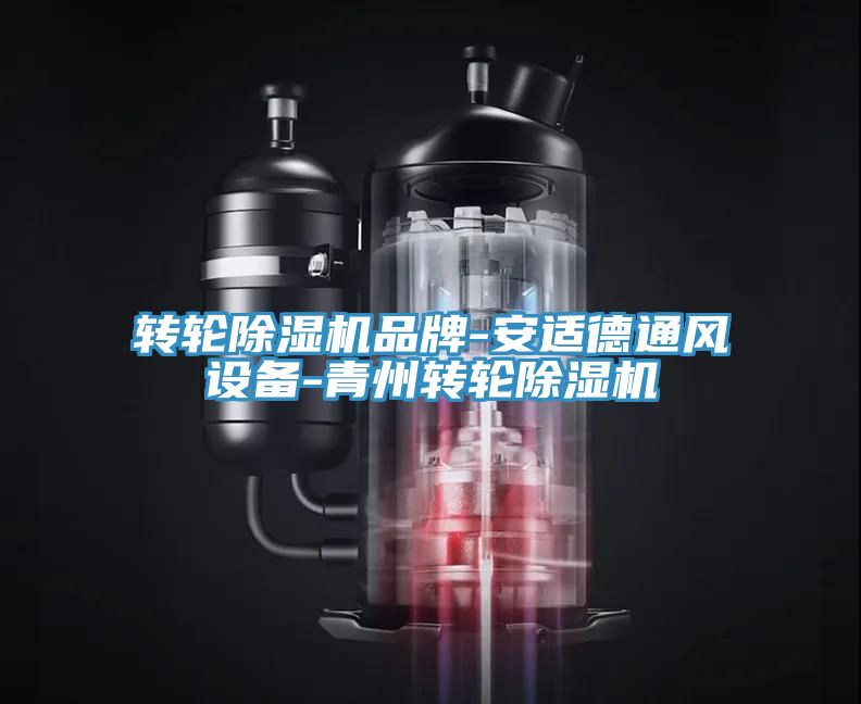 轉(zhuǎn)輪除濕機品牌-安適德通風(fēng)設(shè)備-青州轉(zhuǎn)輪除濕機