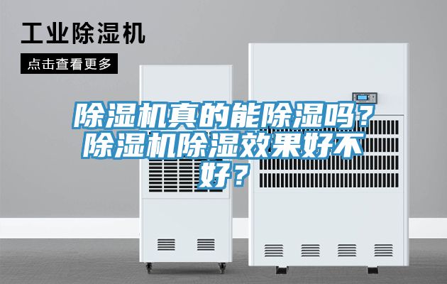 除濕機真的能除濕嗎?除濕機除濕效果好不好?