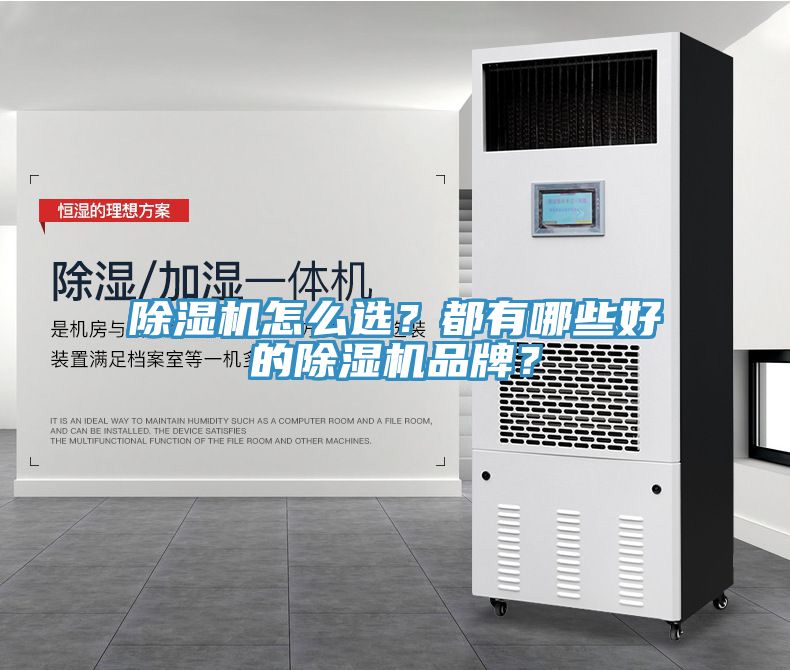 除濕機(jī)怎么選？都有哪些好的除濕機(jī)品牌？
