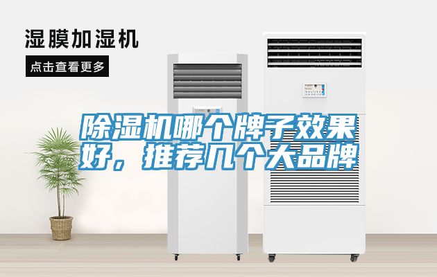 除濕機哪個牌子效果好，推薦幾個大品牌