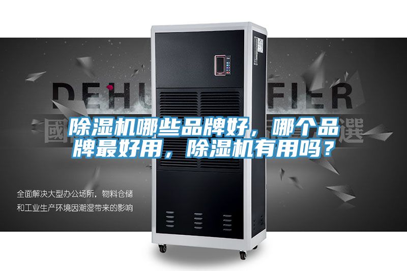 除濕機哪些品牌好，哪個品牌最好用，除濕機有用嗎？