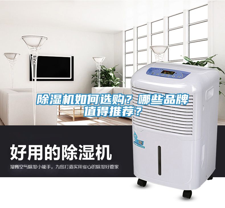 除濕機(jī)如何選購(gòu)?哪些品牌值得推薦?