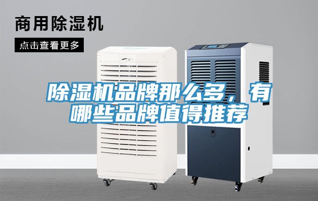 除濕機品牌那么多，有哪些品牌值得推薦