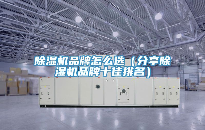 除濕機(jī)品牌怎么選（分享除濕機(jī)品牌十佳排名）