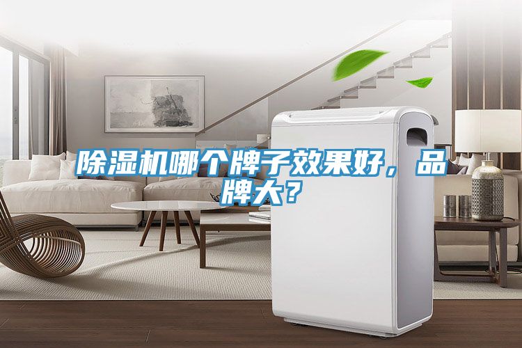 除濕機哪個牌子效果好，品牌大？