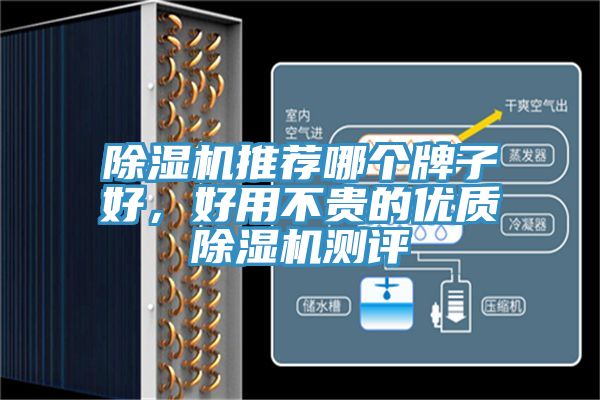 除濕機(jī)推薦哪個(gè)牌子好,好用不貴的優(yōu)質(zhì)除濕機(jī)測(cè)評(píng)