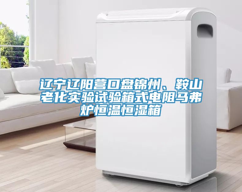 遼寧遼陽營口盤錦州、鞍山老化實驗試驗箱式電阻馬弗爐恒溫恒濕箱