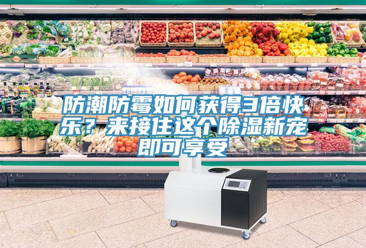 防潮防霉如何獲得3倍快樂？來接住這個除濕新寵即可享受
