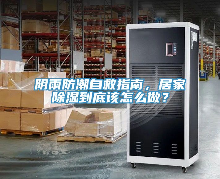 陰雨防潮自救指南，居家除濕到底該怎么做？