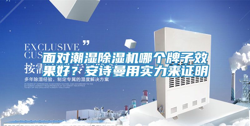 面對潮濕除濕機哪個牌子效果好？安詩曼用實力來證明