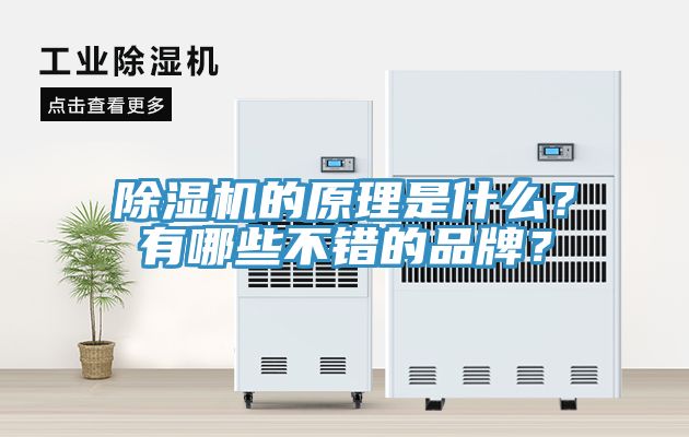 除濕機的原理是什么?有哪些不錯的品牌?