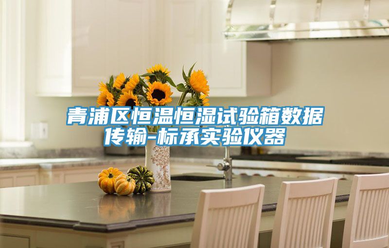 青浦區恒溫恒濕試驗箱數據傳輸-標承實驗儀器
