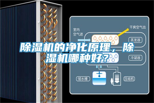除濕機的凈化原理，除濕機哪種好？