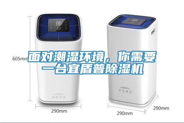 面對潮濕環(huán)境，你需要一臺宜盾普除濕機