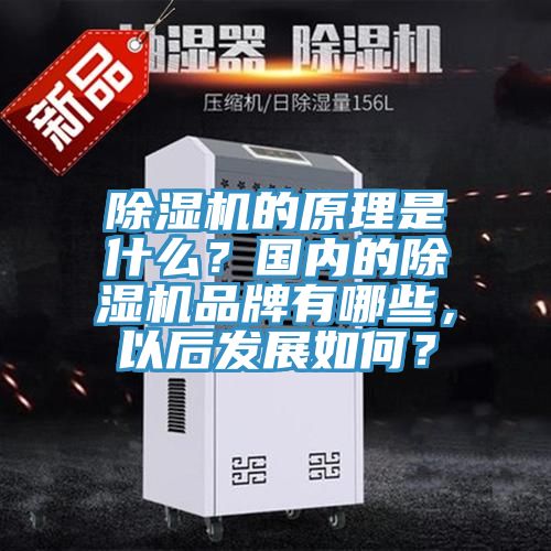 除濕機的原理是什么?國內的除濕機品牌有哪些,以后發展如何?