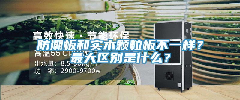防潮板和實木顆粒板不一樣?最大區別是什么?
