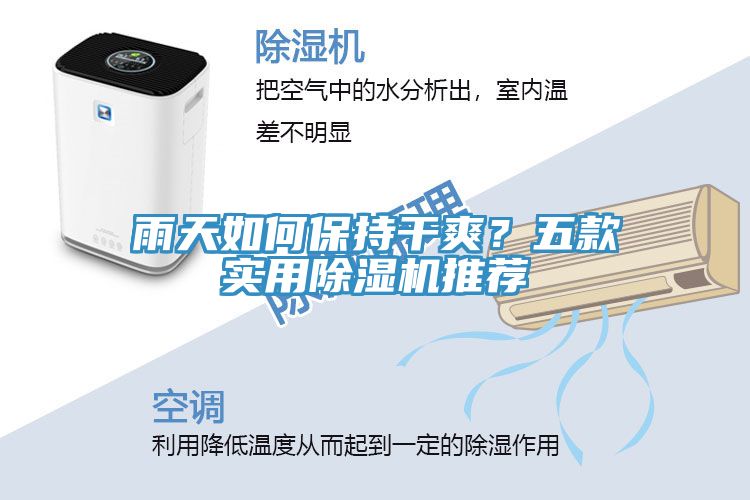 雨天如何保持干爽？五款實用除濕機推薦