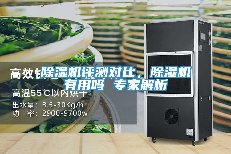 除濕機評測對比，除濕機有用嗎 專家解析