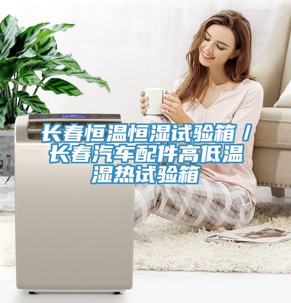 長春恒溫恒濕試驗箱/長春汽車配件高低溫濕熱試驗箱