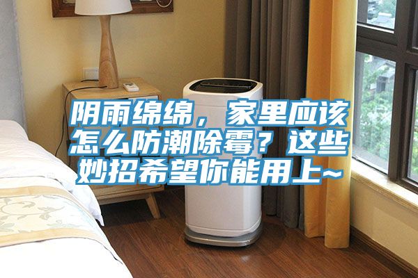 陰雨綿綿，家里應(yīng)該怎么防潮除霉？這些妙招希望你能用上~
