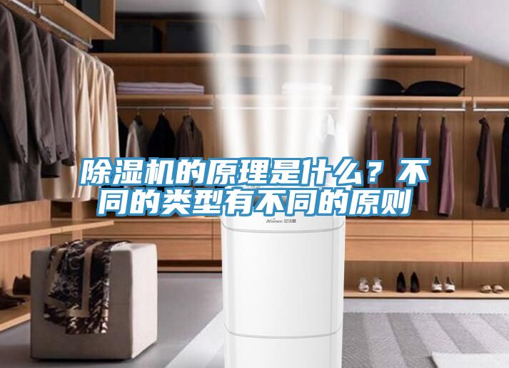 除濕機的原理是什么?不同的類型有不同的原則