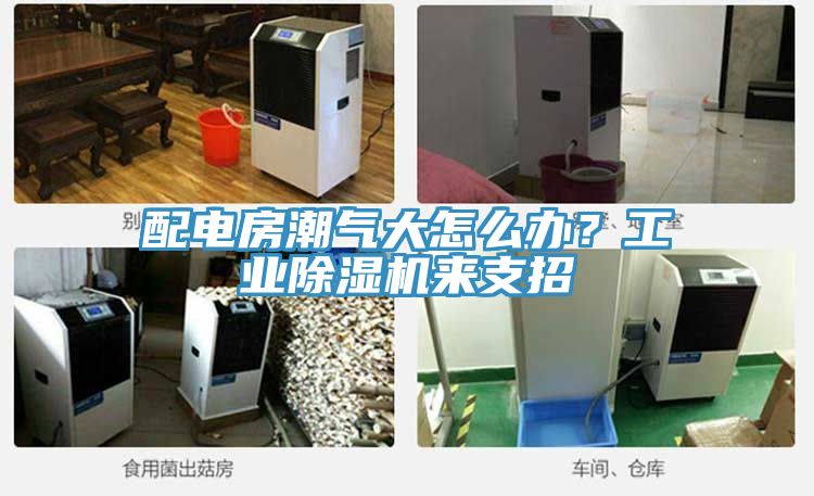 配電房潮氣大怎么辦？工業除濕機來支招