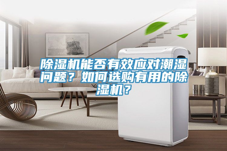 除濕機能否有效應對潮濕問題？如何選購有用的除濕機？