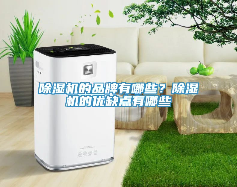 除濕機的品牌有哪些?除濕機的優缺點有哪些