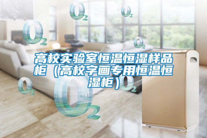 高校實驗室恒溫恒濕樣品柜(高校字畫專用恒溫恒濕柜)