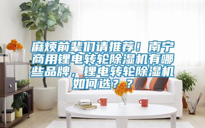 麻煩前輩們請推薦！南寧商用鋰電轉輪除濕機有哪些品牌，鋰電轉輪除濕機如何選？？