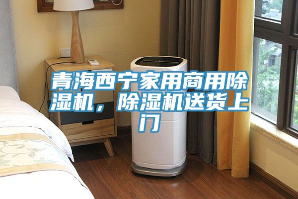 青海西寧家用商用除濕機，除濕機送貨上門