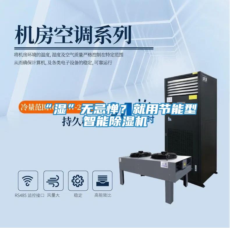 “濕”無(wú)忌憚？就用節(jié)能型智能除濕機(jī)