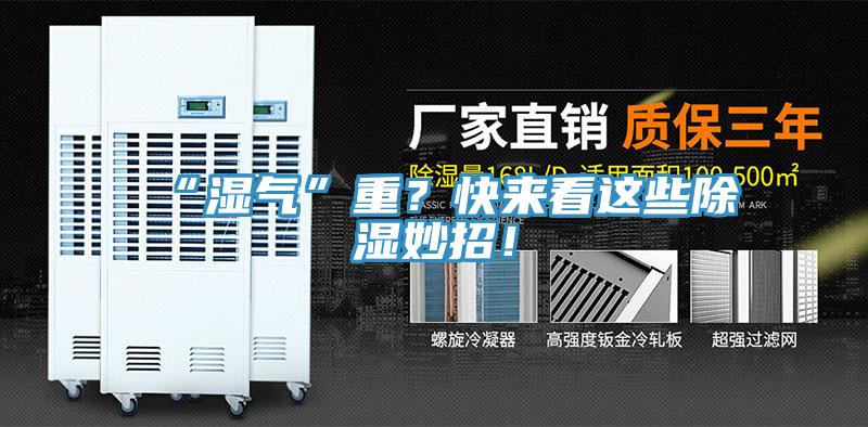 “濕氣”重？快來(lái)看這些除濕妙招！
