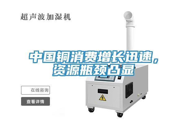 中國銅消費增長迅速，資源瓶頸凸顯