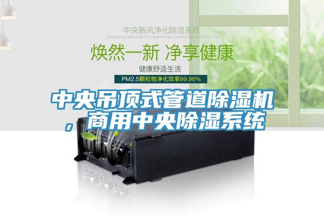 中央吊頂式管道除濕機(jī)，商用中央除濕系統(tǒng)