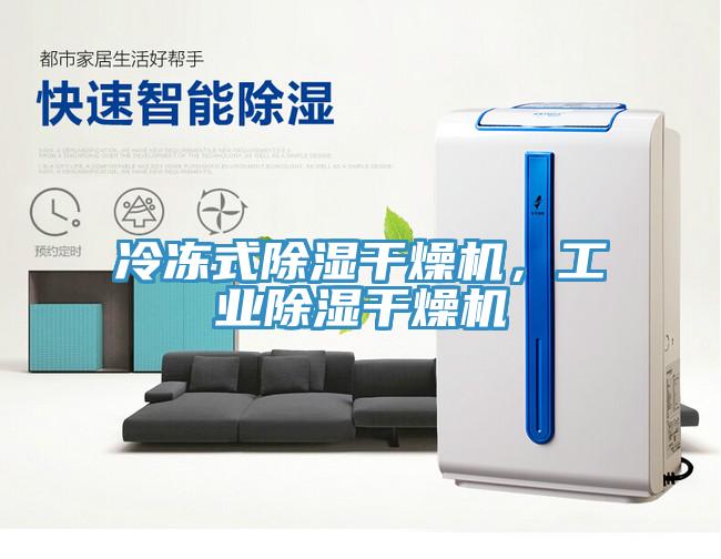 冷凍式除濕干燥機，工業除濕干燥機