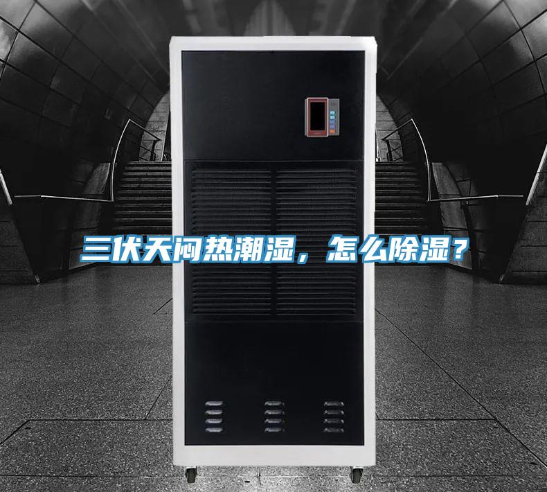 三伏天悶熱潮濕，怎么除濕？