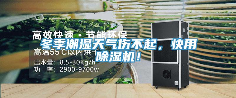 冬季潮濕天氣傷不起，快用除濕機！