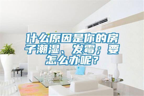 什么原因是你的房子潮濕、發霉；要怎么辦呢？